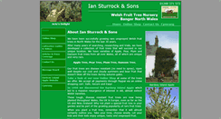 Desktop Screenshot of iansturrockandsons.co.uk