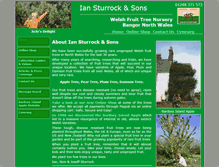 Tablet Screenshot of iansturrockandsons.co.uk